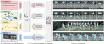 UniAct: Unified Motion Generation and Action Streaming for Humanoid Robots