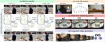 4DStreamCtrl: Interactive Video Generation with Online 4D Control