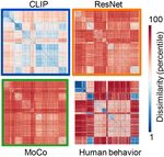 Language modulates vision: Evidence from neural networks and human brain-lesion models