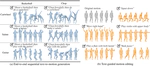 [CVPR26] MotionMaster: Generalizable Text-Driven Motion Generation and Editing