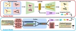 [ICRA21] Congestion-aware Multi-agent Trajectory Prediction for Collision Avoidance