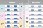 [ICCV23] X-VoE: Measuring eXplanatory Violation of Expectation in Physical Events