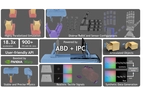 [NeurIPS25] Taccel: Scaling Up Vision-based Tactile Robotics via High-performance GPU Simulation